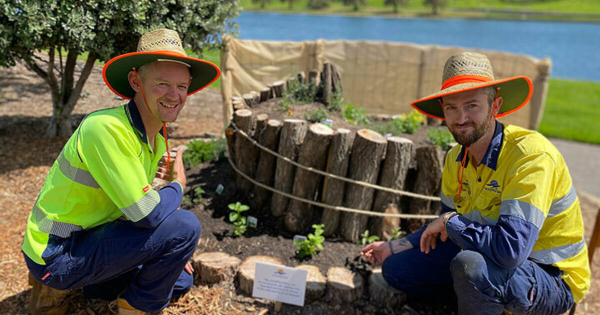 Growing herbs … and sparking conversations City of Holdfast Bay
