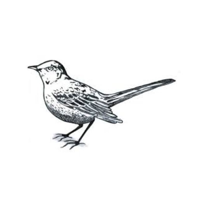 Mockingbird