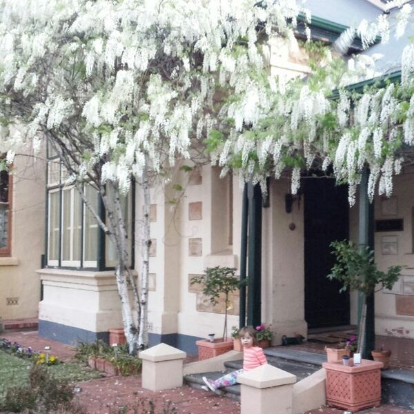 Water Bay Villa B&B Jetty Road Glenelg