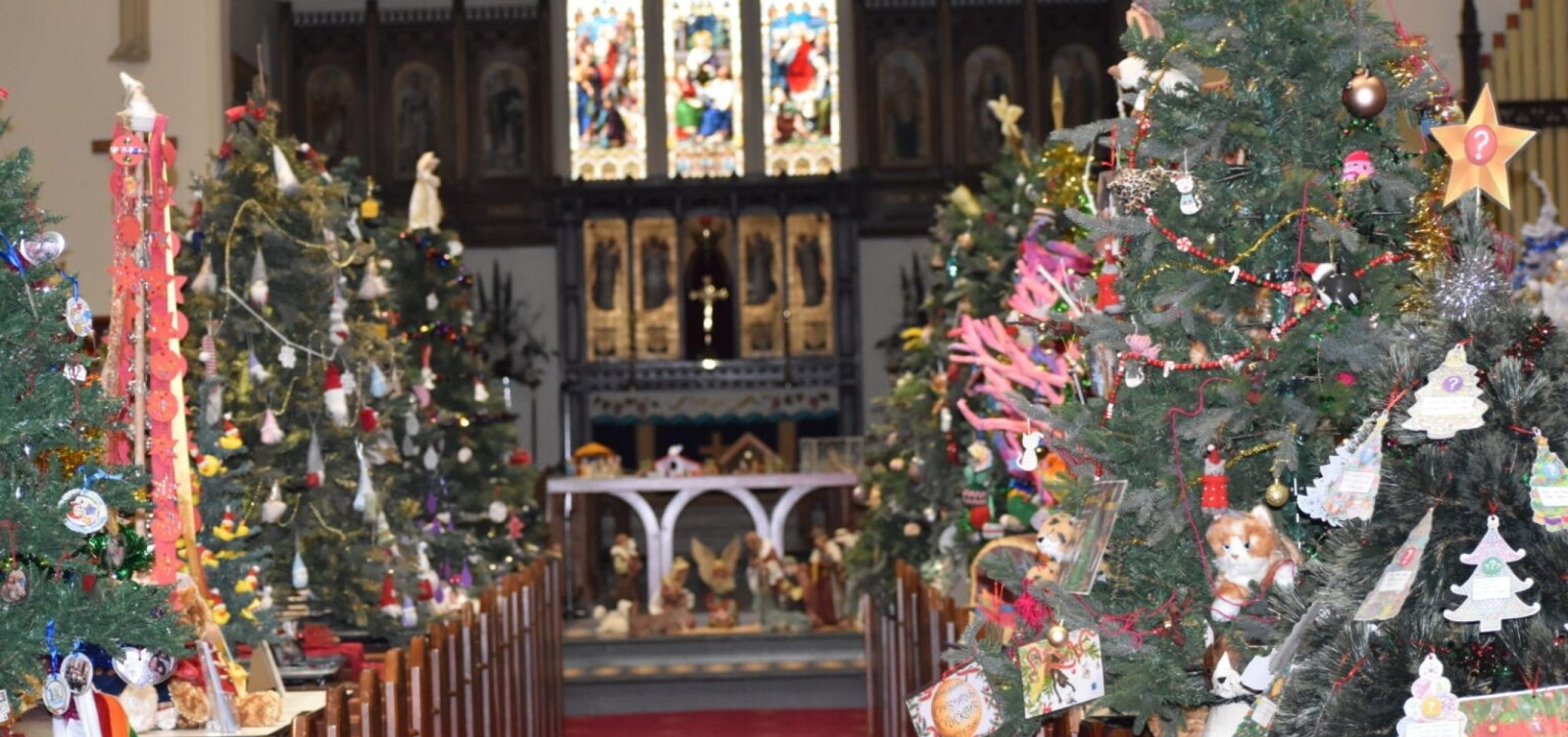 Chritmas trees inside a church