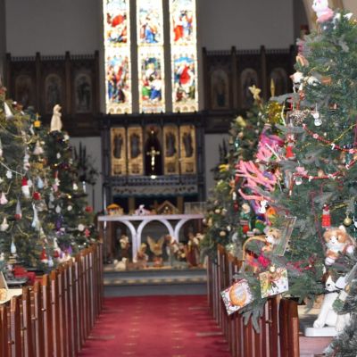 Chritmas trees inside a church