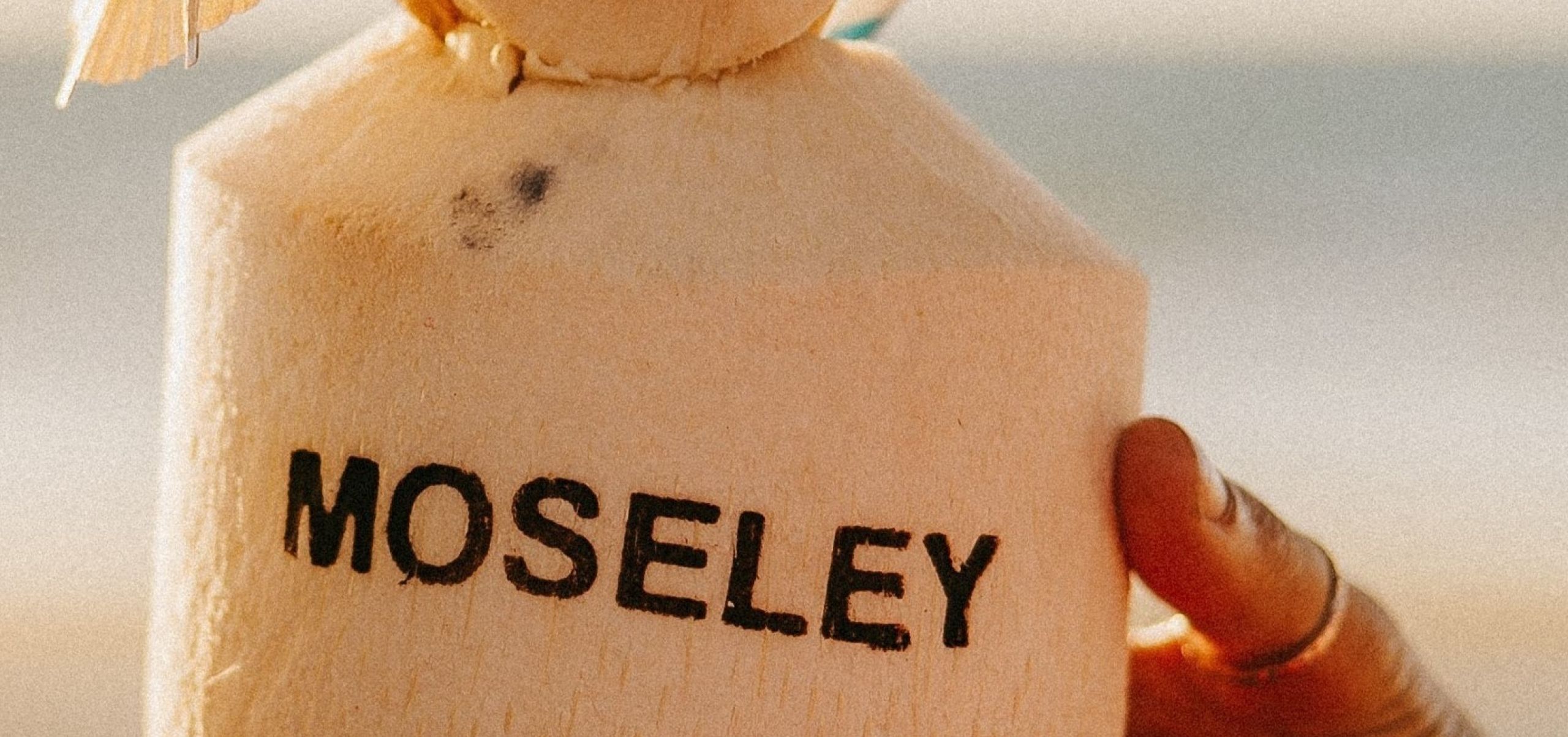 coconut shaped drink