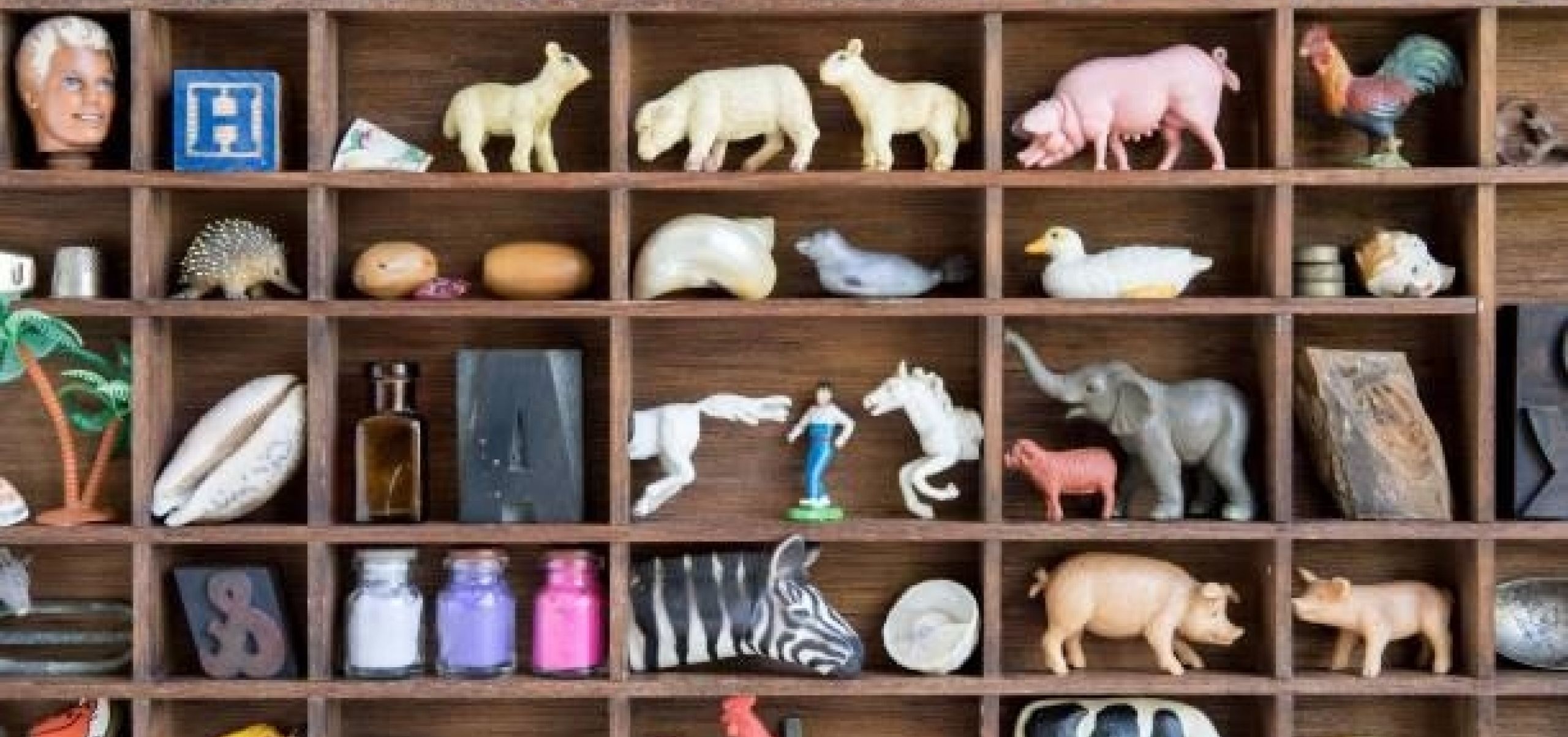 small toy animals in wooden bookshelf