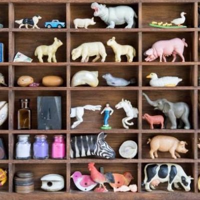 small toy animals in wooden bookshelf