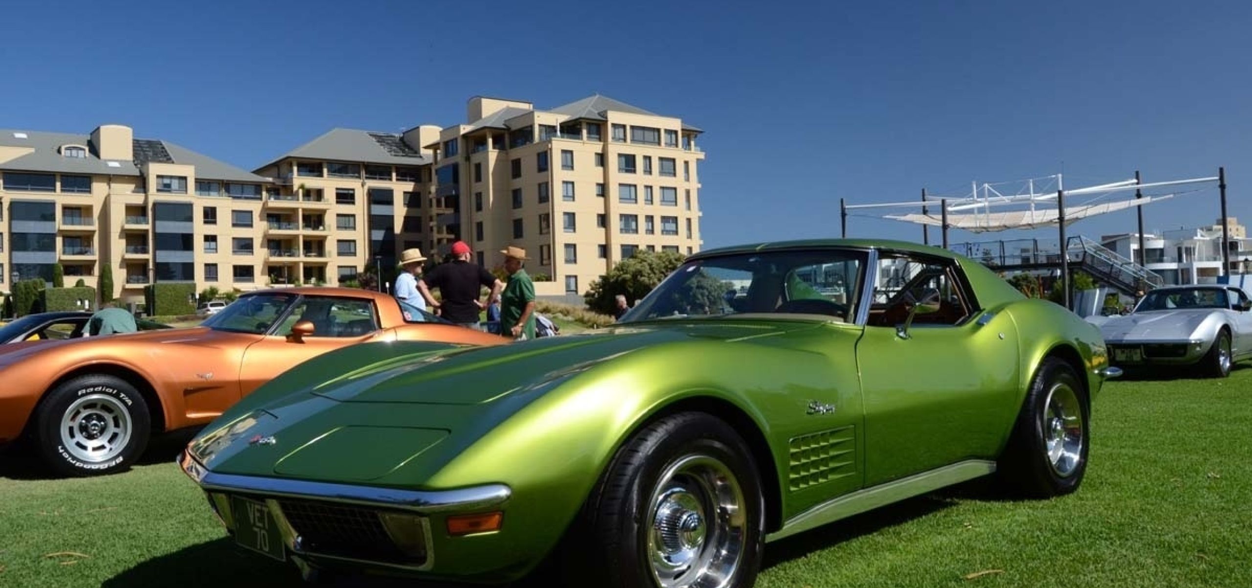 Green corvette on Wigley Reserve