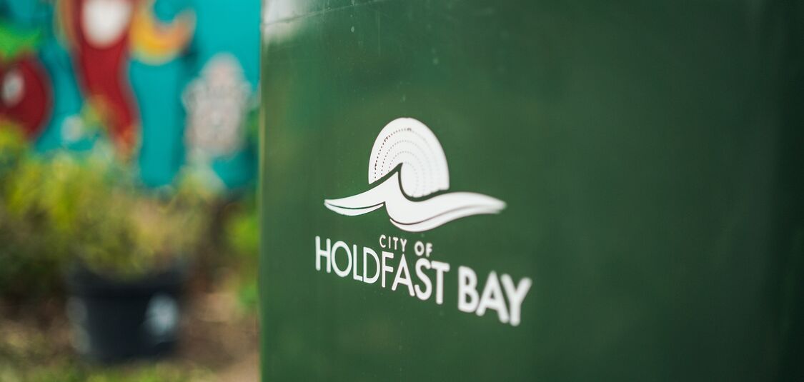 Kerbside bin audit notifications