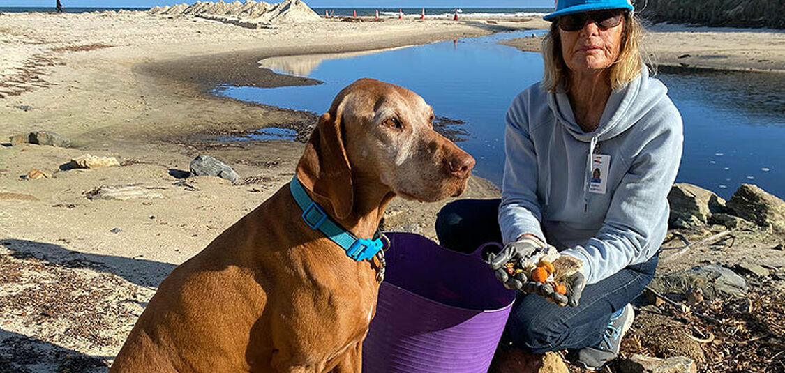 Pick up street litter to help keep our beaches clean