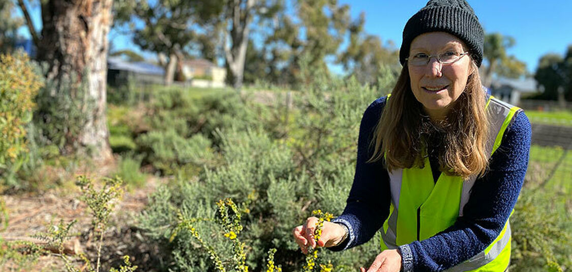 Landcare group brings life back to our river reserves