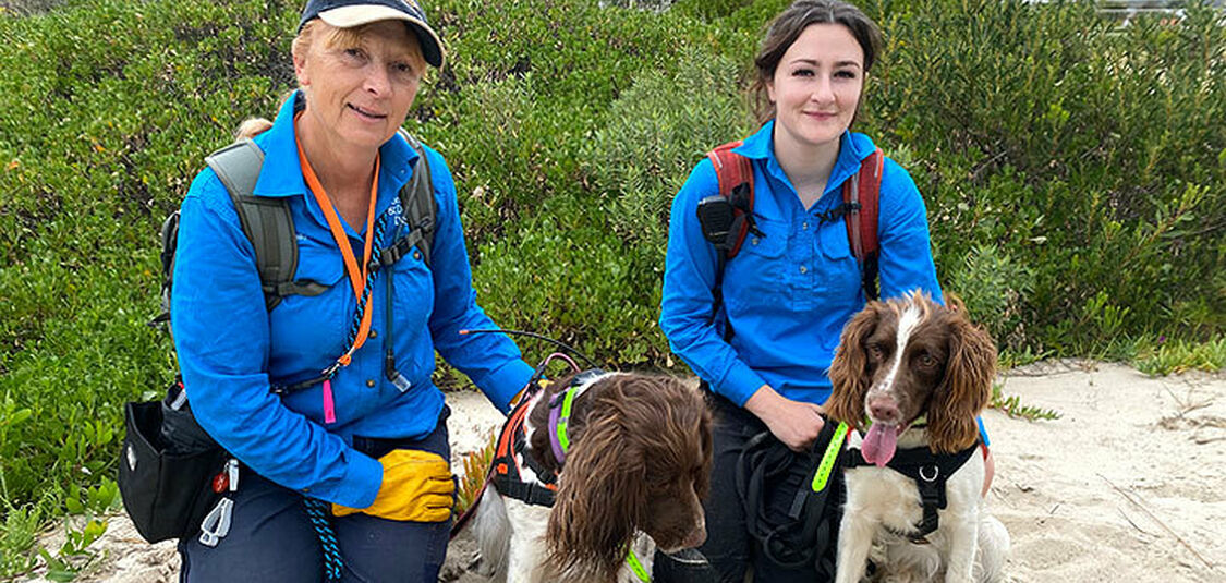 Dogs sniff out threats to endangered birds