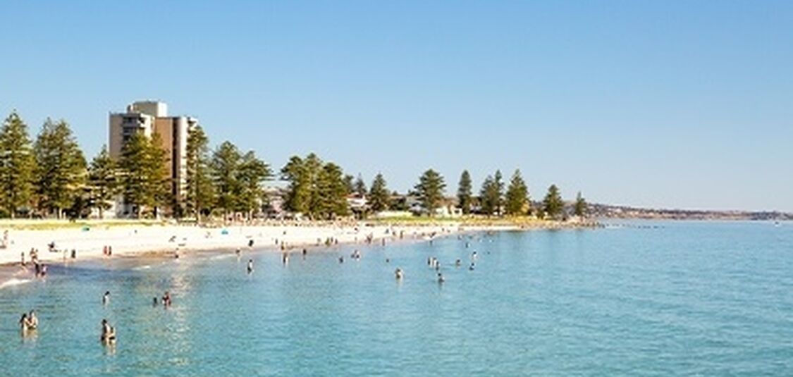 Jetty Road Mainstreet Committee