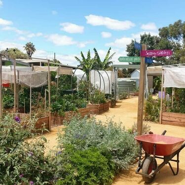 North Brighton Community Garden - Spring Open Day