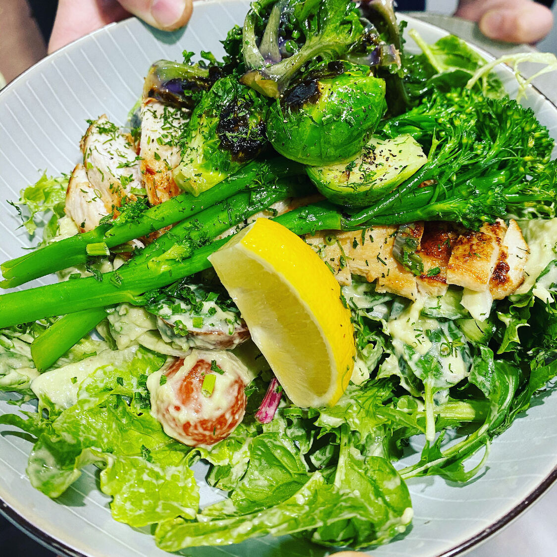 Warm chicken salad from Feed
