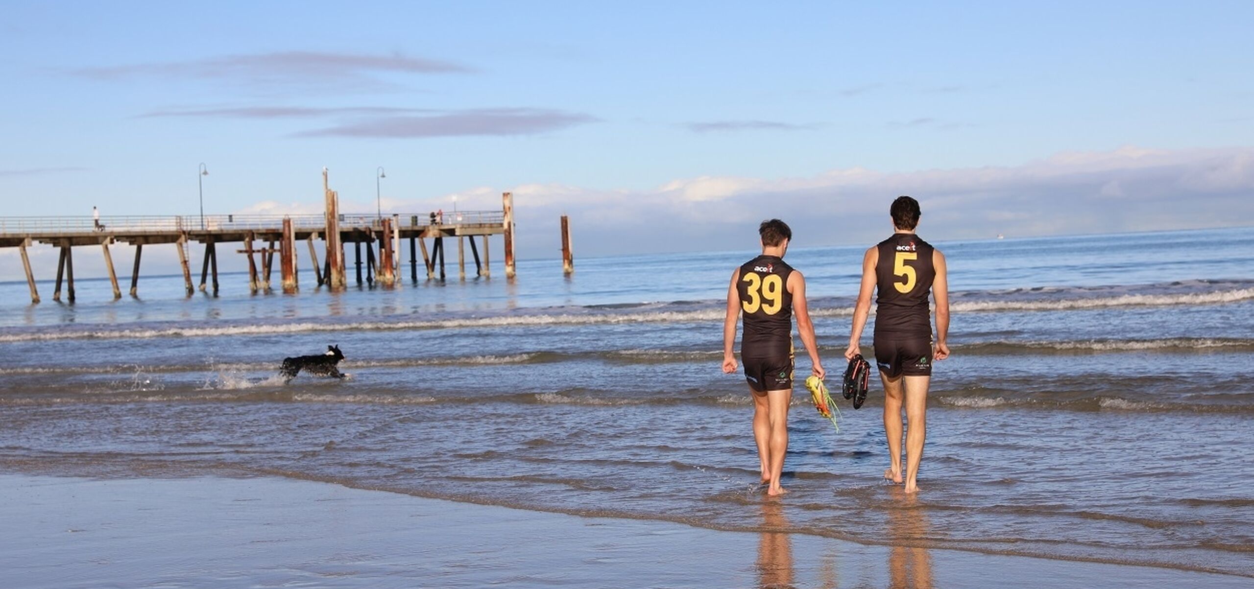 Two people walk into the ocean with the Glenelg Jetty in the background.