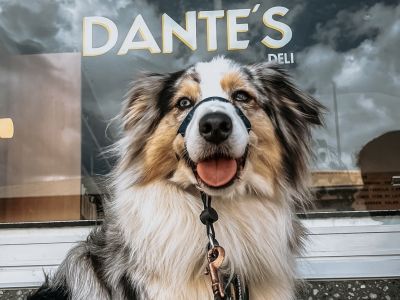 DANTES 1