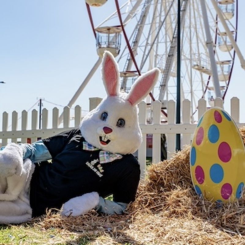 Easter Egg Hunt 1