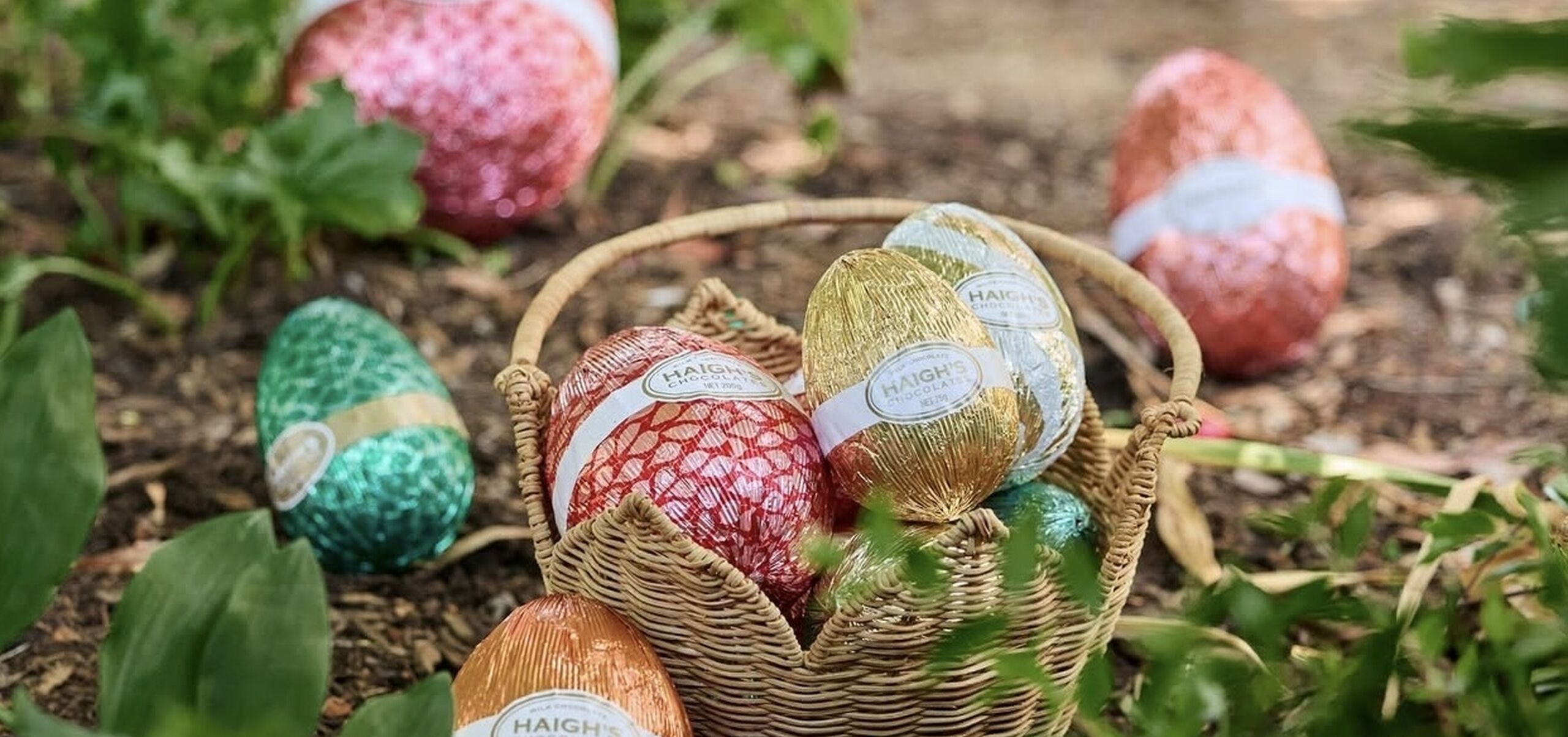 Haighs cocolate eggs wrapped in foil