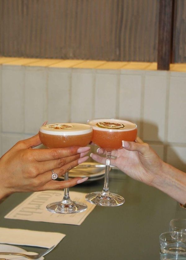 people cheersing with cocktails