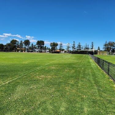 Image of large lawn area with black fence along right edge