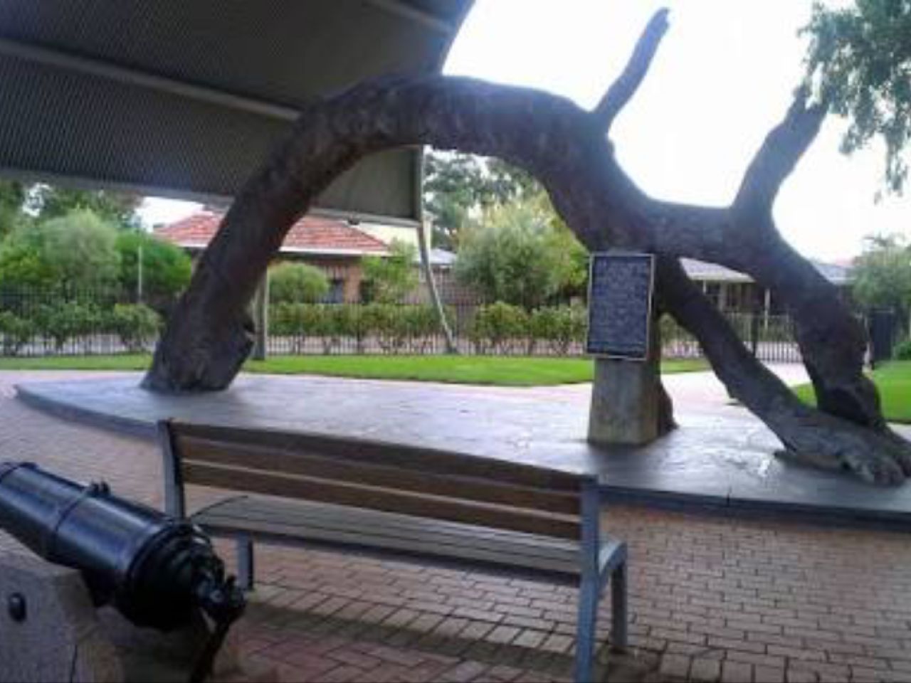 sits in the old gum tree