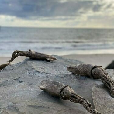 squid sculpture on Brighton beach foreshore