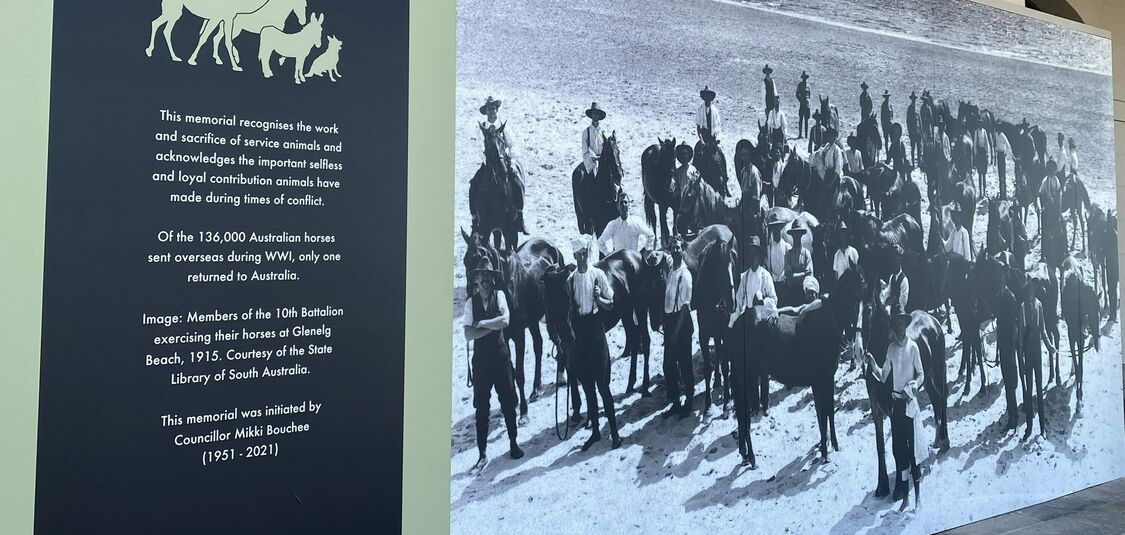 War Service Animal Memorial