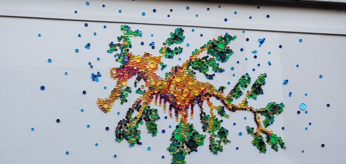 The Liddy Sea Dragon